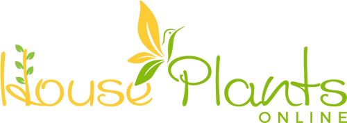 House Plants Online